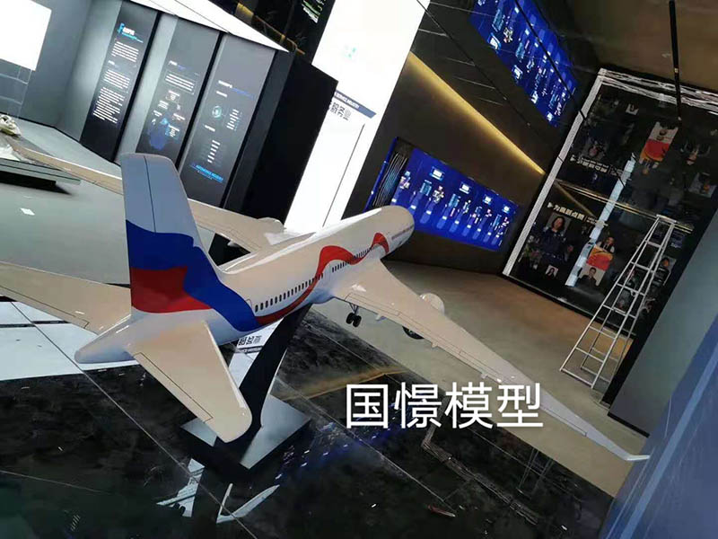 营山县飞机模型